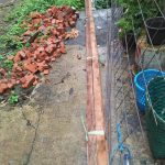 kiriman Jl Baru Bakti Jaya pt 2