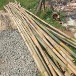 Pesanan Bambu Ukuran Sedang Jl Parakan Pamulang